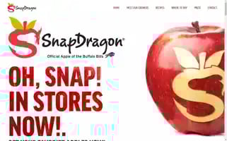 Snapdragonapple.com Screenshot 2024-07-03 19:14:44