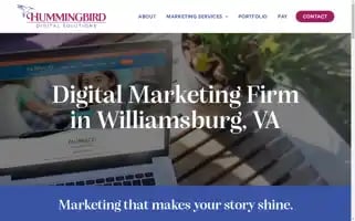 Hummingbirddigitalsolutions.com Screenshot 2024-06-14 03:12:08