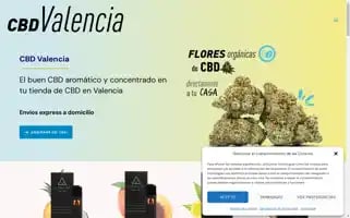 Cbd-valencia.com Screenshot 2024-05-26 14:19:59