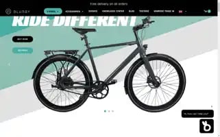 Blurbybike.com Screenshot 2024-06-18 21:06:30