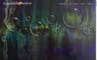 Thegoodlifereview.com Screenshot 2024-07-01 14:22:26
