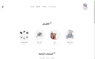 Bs-iq.com Screenshot 2024-05-21 23:51:41