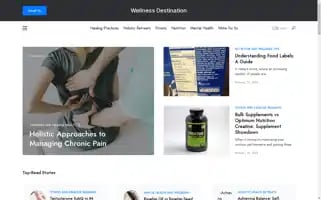 Wellnessdestination.info Screenshot 2024-04-15 03:00:45