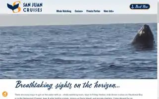 Whales.com Screenshot 2024-05-15 02:09:42