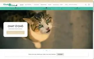 Chatochocat.com Screenshot 2024-05-03 21:38:07