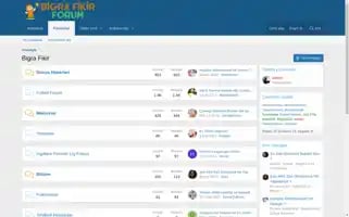 Bigrafikir.com Screenshot 2024-06-14 16:36:38