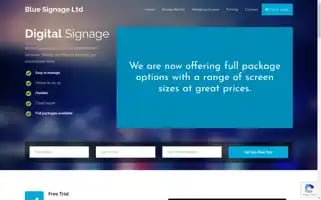Bluesignage.co.uk Screenshot 2024-06-30 16:07:18