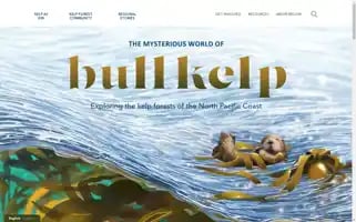 Bullkelp.info Screenshot 2024-07-07 07:47:07