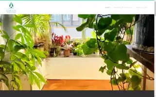 Oasishotyogastudio.com Screenshot 2024-05-16 10:23:31