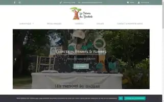 Lestresorsdubaobab.fr Screenshot 2024-05-22 09:53:08