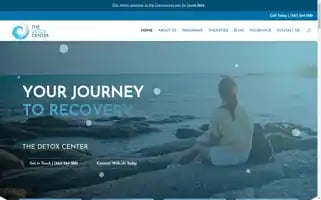 Thedetoxcenter.com Screenshot 2024-06-14 16:24:51