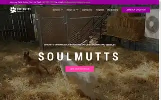 Soulmuttstoronto.com Screenshot 2024-06-11 19:09:58