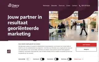 Cherry-marketing.nl Screenshot 2024-06-14 21:34:05