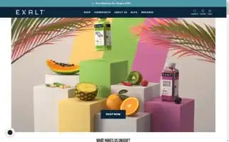 Exalt.co.uk Screenshot 2024-05-04 05:28:56