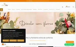 Decoflortoledo.com Screenshot 2024-06-28 12:03:45