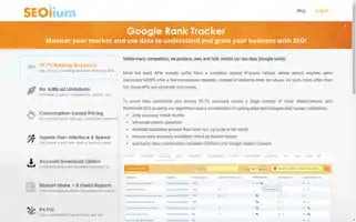 Seolium.com Screenshot 2024-05-13 21:20:38