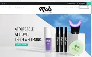 Molr.co Screenshot 2024-05-05 22:59:53