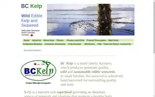 Bckelp.com Screenshot 2024-07-01 03:08:02