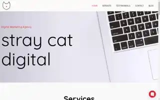 Straycatdigital.com Screenshot 2024-07-06 08:10:23