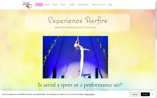 Aerfire309.com Screenshot 2024-07-03 14:50:52