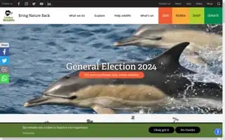 Ulsterwildlife.org Screenshot 2024-06-29 23:41:34