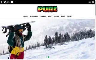 Pureanywear.com Screenshot 2024-06-30 23:30:29