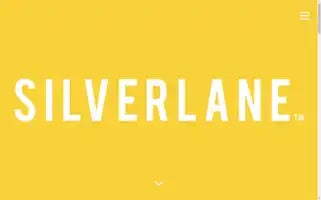 Silverlane.agency Screenshot 2024-07-01 16:39:17