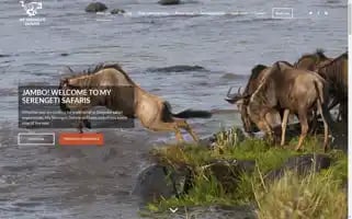 Myserengetisafaris.com Screenshot 2024-05-20 21:19:57