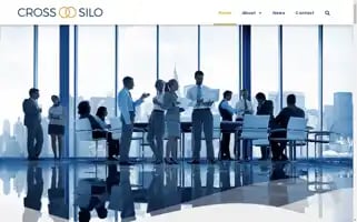 Cross-silo.com Screenshot 2024-06-30 02:46:10