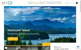 Ftzvi.com Screenshot 2024-07-03 02:34:22