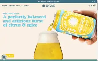 Bestdaybrewing.com Screenshot 2024-06-13 21:04:46