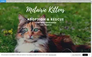 Metairiekittens.com Screenshot 2024-07-06 11:51:31