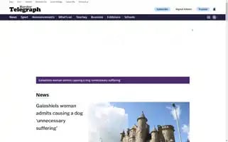 Bordertelegraph.com Screenshot 2024-06-30 16:38:50