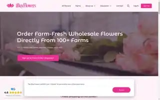 Ibuyflowers.com Screenshot 2024-05-16 02:13:41