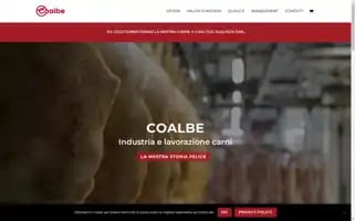 Coalbe.com Screenshot 2024-06-17 09:14:57