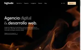 Bigbuda.cl Screenshot 2024-07-08 02:23:48