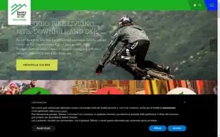 Davidsrentalskibike.com Screenshot 2024-07-01 06:52:49