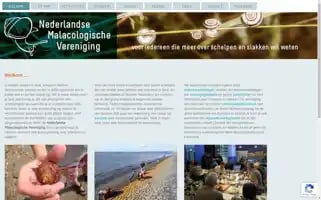 Spirula.nl Screenshot 2024-07-10 03:26:07