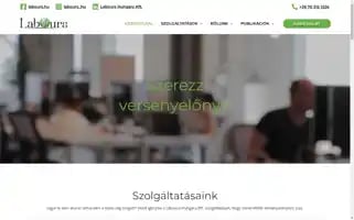 Labours.hu Screenshot 2024-07-09 09:54:05