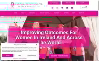 Breastcancerresearch.ie Screenshot 2024-06-12 13:25:46