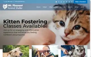 Njshelter.org Screenshot 2024-06-11 16:47:58