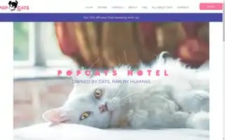 Popcatshotel.com Screenshot 2024-04-27 04:26:35