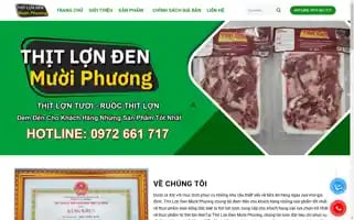 Thitlondenmuoiphuong.com Screenshot 2024-05-21 19:29:02