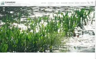 Canariasdowntowndoral.com Screenshot 2024-06-15 01:31:49