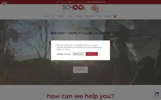 Schoolnurses.es Screenshot 2024-06-11 07:32:26