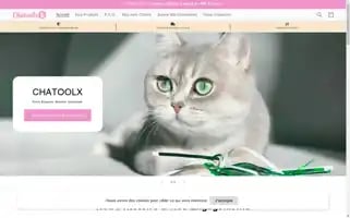 Chatoolx.com Screenshot 2024-05-03 19:56:04