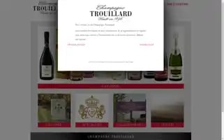 Champagnetrouillard.com Screenshot 2024-07-01 00:31:17