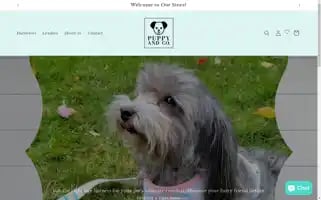 Puppyandco.shop Screenshot 2024-05-02 06:53:32
