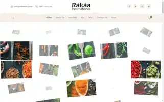 Rakaaint.com Screenshot 2024-05-18 23:01:37