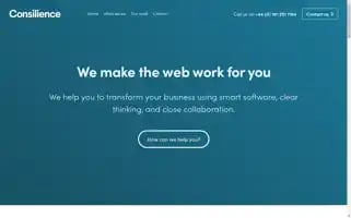 Consil.co.uk Screenshot 2024-06-29 21:52:01